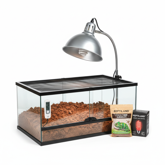 Reptile terrarium starter kit with heat lamp and substrate